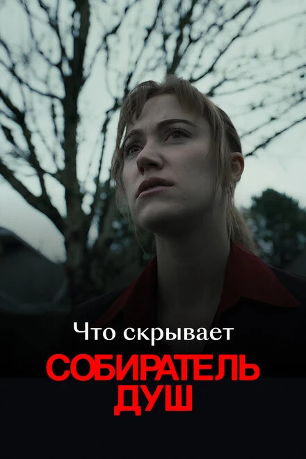 Постер Что скрывает «Собиратель душ» 2024