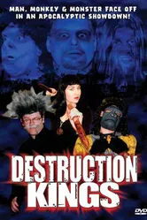Destruction Kings постер