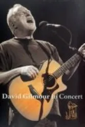 David Gilmour in Concert постер