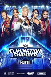 WWE Камера ликвидации 2024 постер