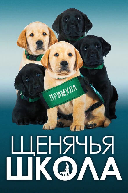 Постер Щенячья школа 2018
