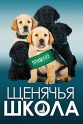Щенячья школа 2018 постер