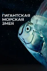 Гигантская морская змея 2021 постер