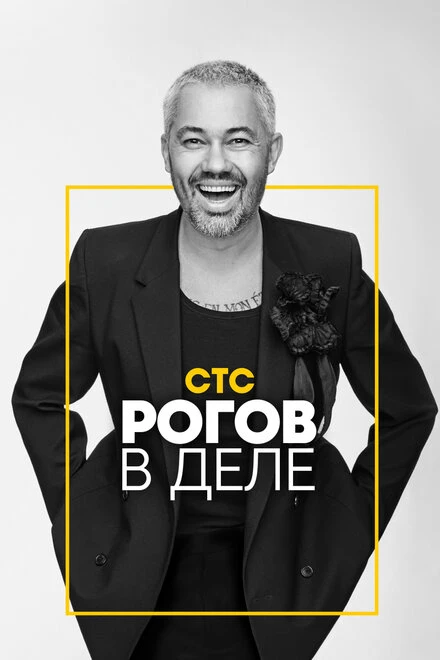 Постер Рогов в деле 2020