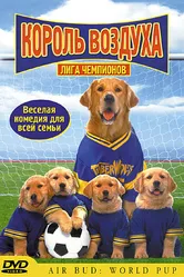 Король воздуха: Лига чемпионов 2000 постер