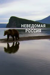 Неведомая Россия 2020 постер