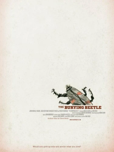 Постер The Burying Beetle