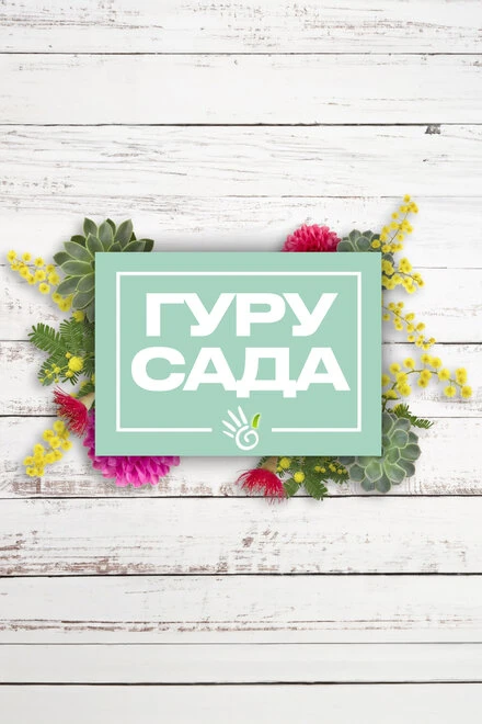 Постер Гуру сада 2002
