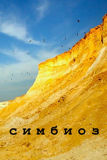 Постер Симбиоз 2017