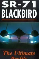 SR-71 Blackbird: The Secret Vigil постер
