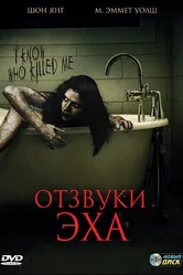Отзвуки эха 2008 постер