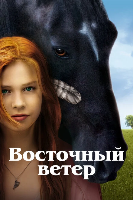 Постер Восточный ветер 2013