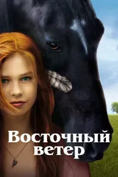 Восточный ветер 2013 постер