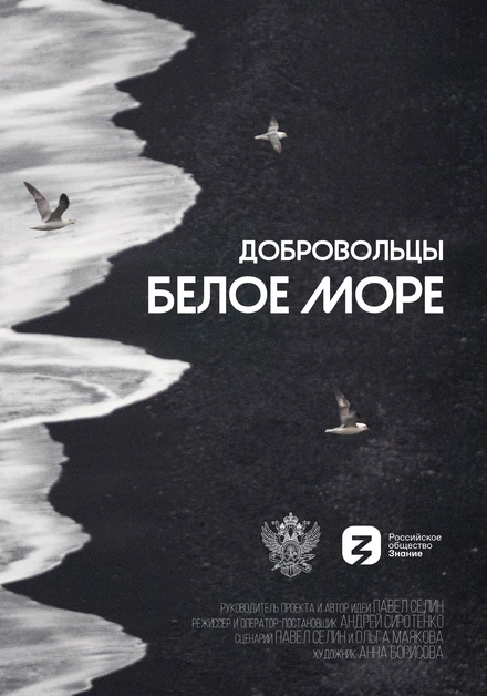Постер Добровольцы. Белое море 2023