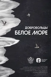 Добровольцы. Белое море 2023 постер