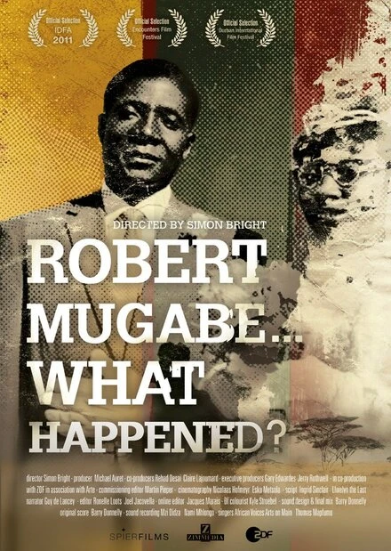 Постер Robert Mugabe... What Happened?