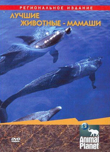 Постер Animal Planet. Лучшие животные-мамаши 2004
