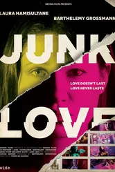 Junk Love постер