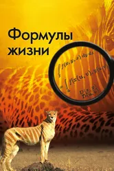 Формулы жизни 2010 постер