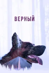 Верный 2016 постер