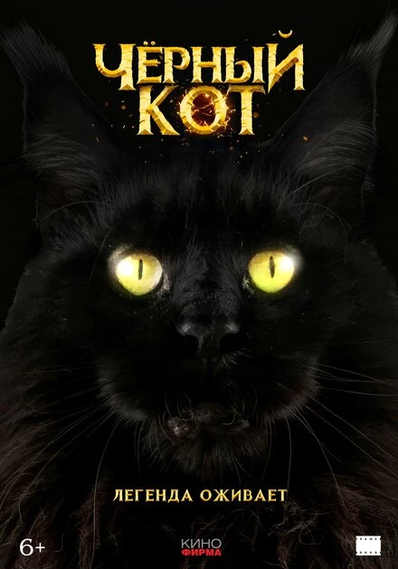 Постер Черный кот 2025