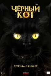 Черный кот 2025 постер