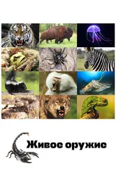 Живое оружие 2016 постер